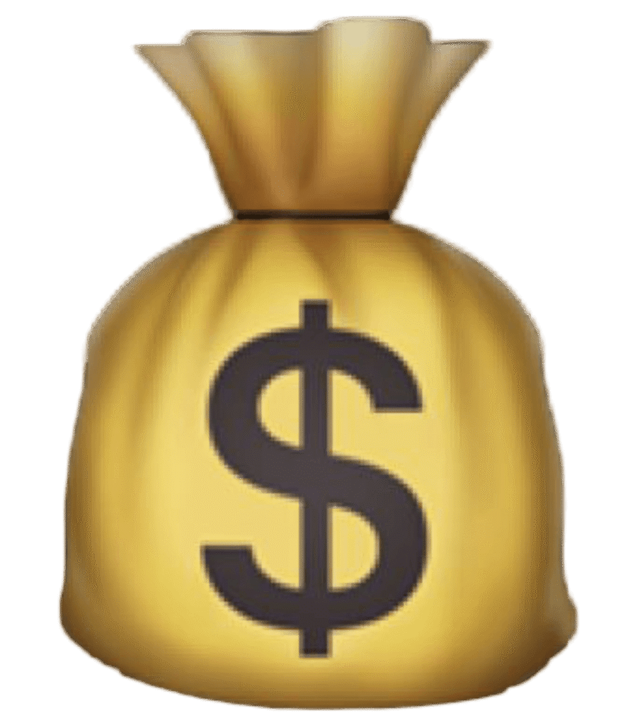 icon-dollar-bag-icon